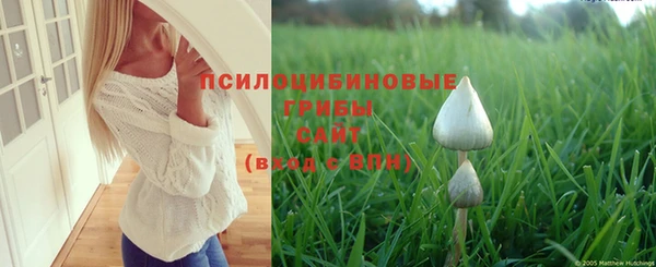 винт Балахна