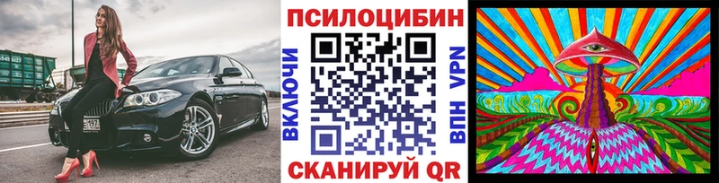 купить наркотики цена  Шагонар  Галлюциногенные грибы мухоморы 